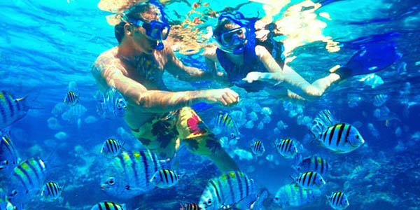 Nusa Dua Snorkeling | Dasu Bali Tour